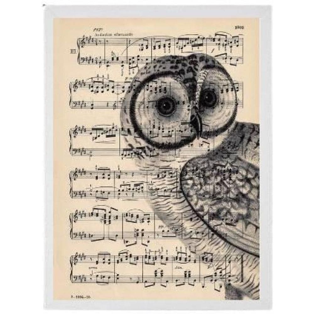 Quadro Decorativo Coruja Partitura Moldura Branca 24X18Cm