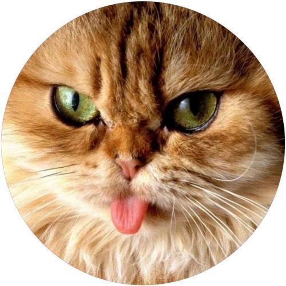 Capa De Estepe Ecosport Aircross Gato Mostrando A Lingua