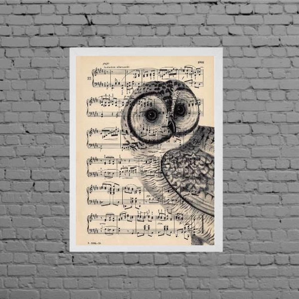 Quadro Coruja Com Partitura 45X34Cm Com Vidro Moldura Branca
