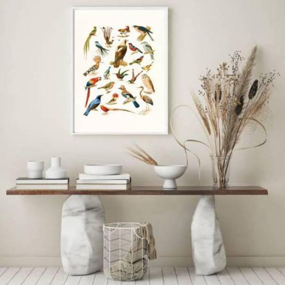 Quadro Espécies De Passarinhos 45X34Cm Com Vidro Branca