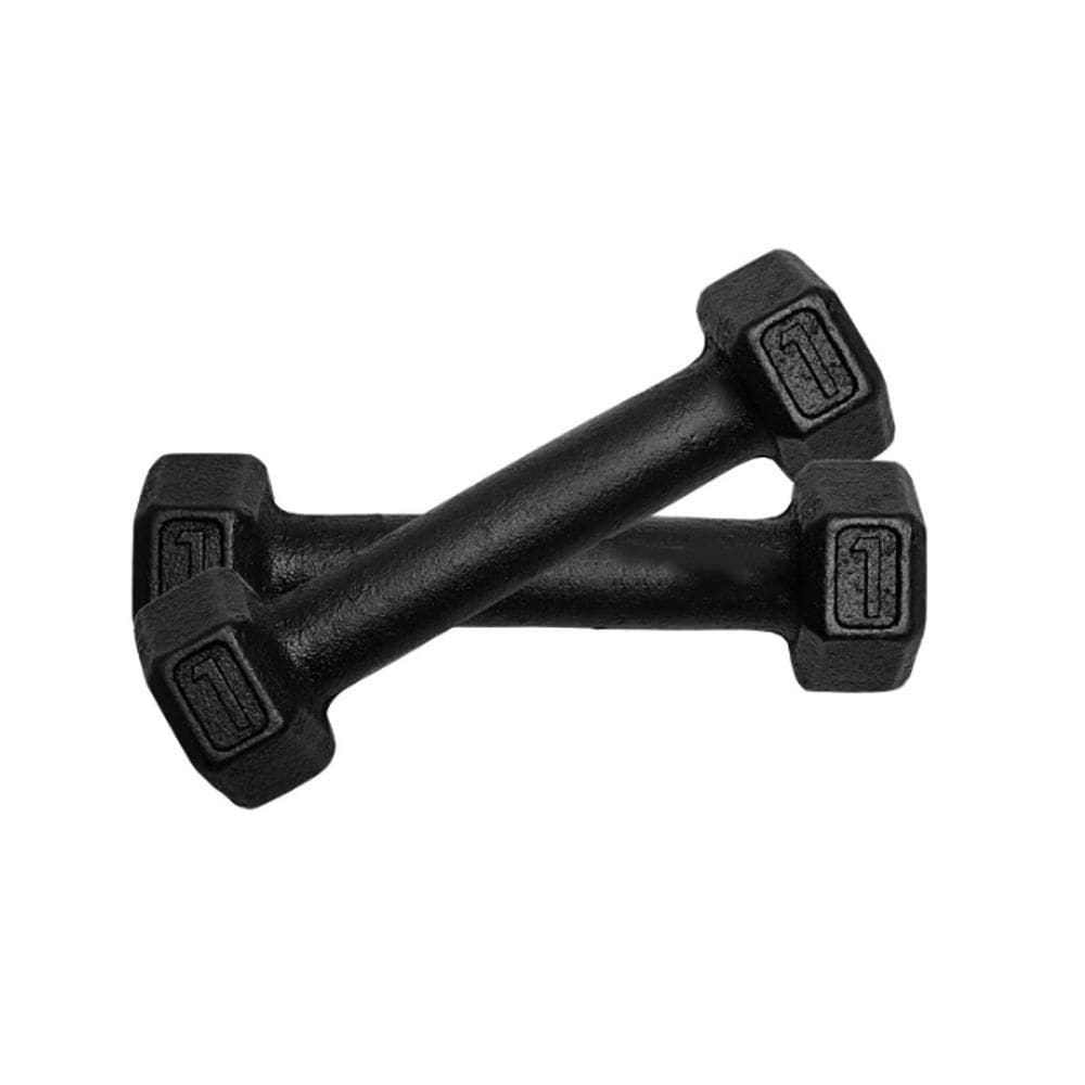 Kit 2 Halter Sextavado Pintado 1Kg Academia Treino Ferro