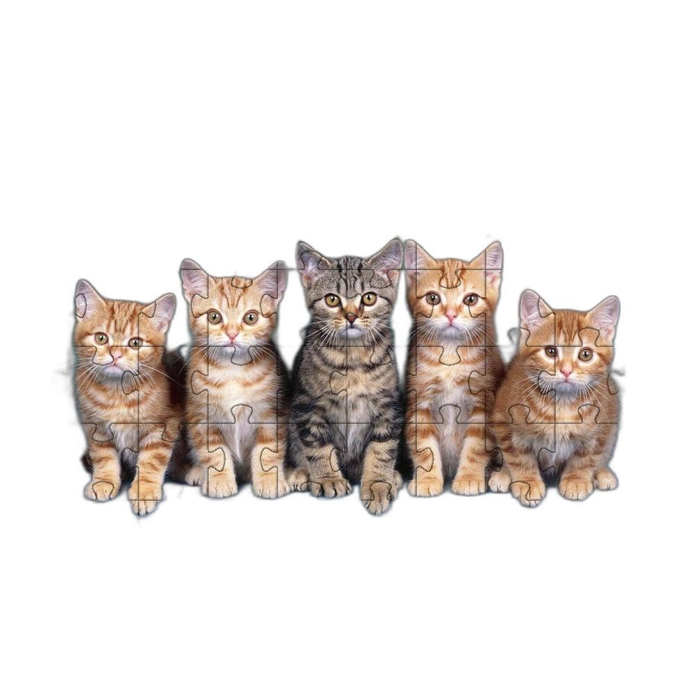 Kit 2 Quebra-Cabeça Inclusivos Gatos Espertos 24 Peças