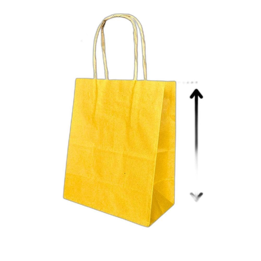 10 Sacola De Papel Kraft Presente Colorida 13,5X8X16Cm