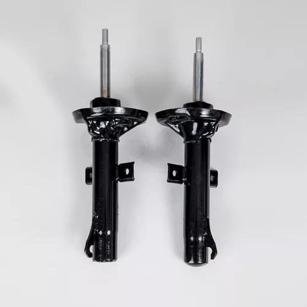 Amortecedor Fiesta Antigo 96/ 2003 Par Diant