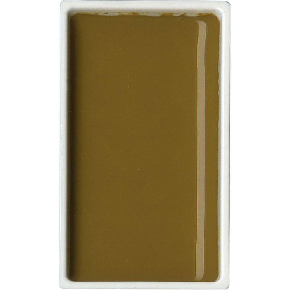 Aquarela Gansai Tambi Kuretake Yellow Brown 49