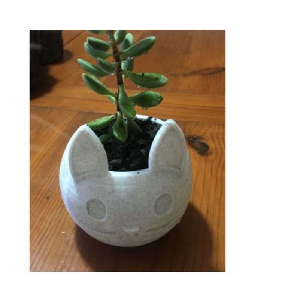 Vaso Para Suculenta Flores Formato Gato Lindo