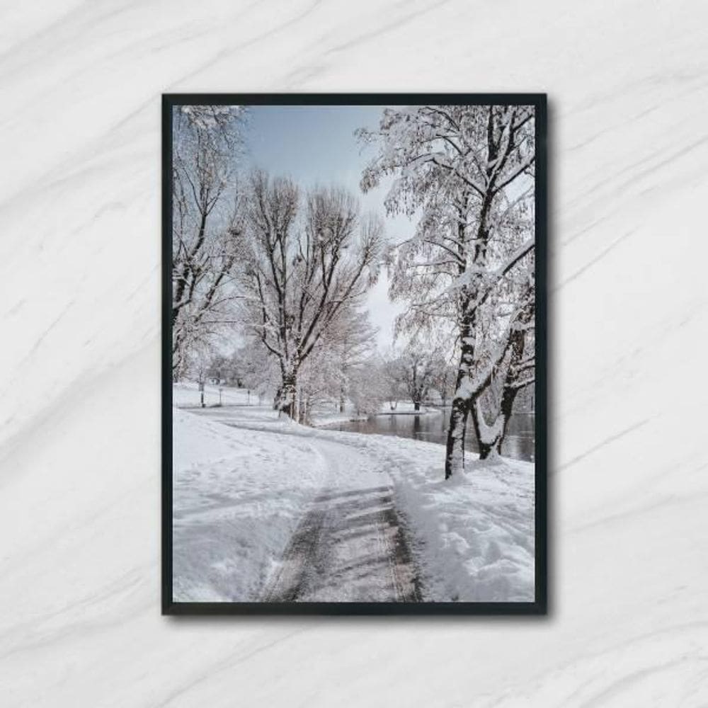 Quadro Fotografia Paisagem Com Neve 24X18Cm