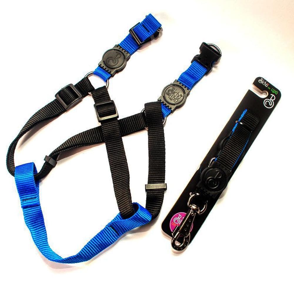 Peitoral E Guia Australiana Color Gg - Cães Linha Luxo