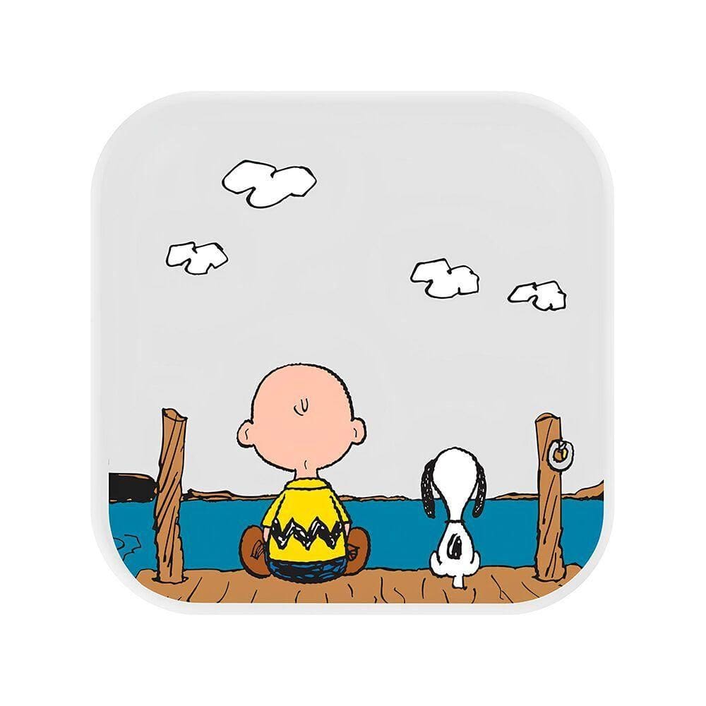 Luminária Box Snoopy And Charlie Brown