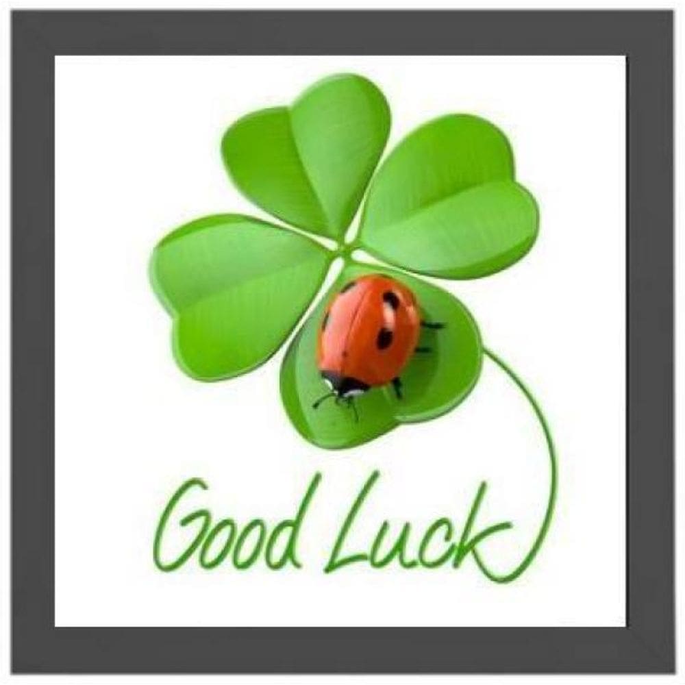 Quadro Quadrado Joaninha Boa Sorte 20X20Cm