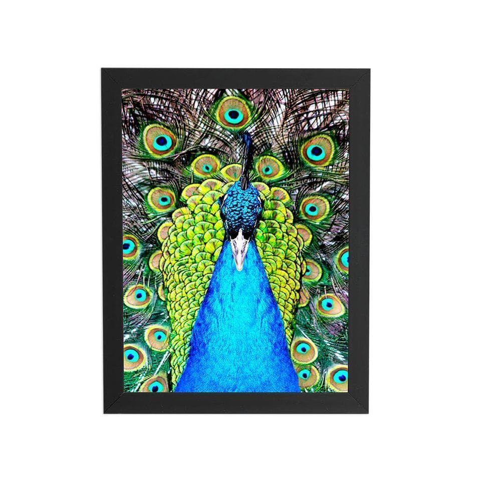 Pavão Animais Arte Colorido Quadro Moldura Preta 60X40Cm