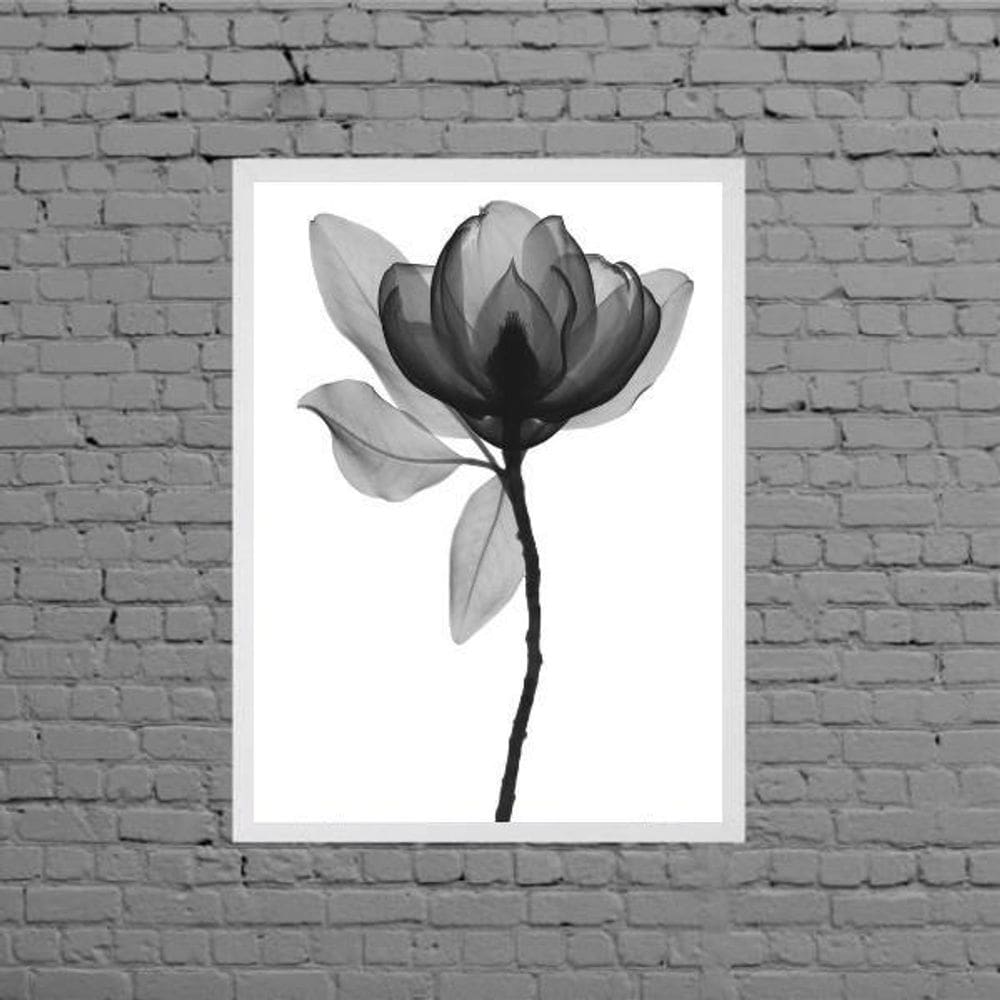 Quadro Fotografia Flor Preto E Cinza Moldura Branca 45X34Cm