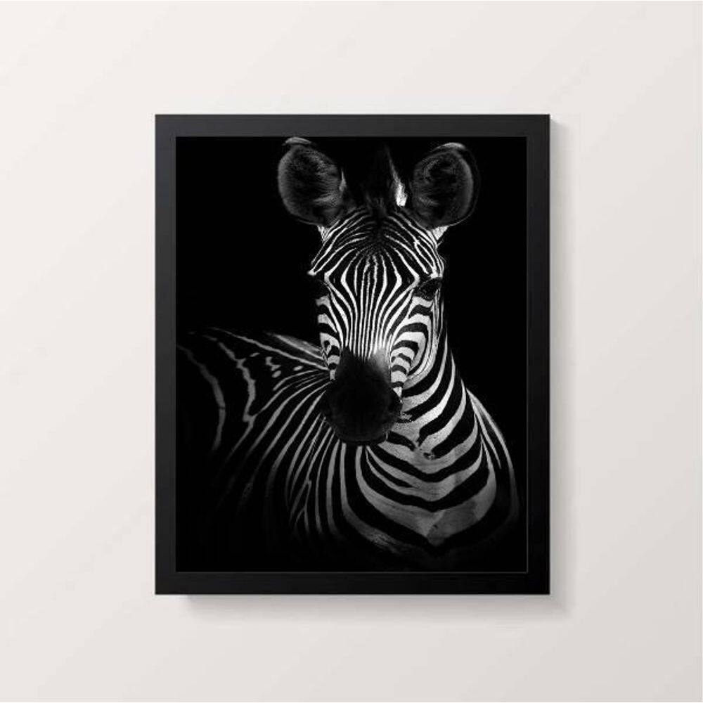 Quadro Decorativo Fotografia Zebra 24X18Cm