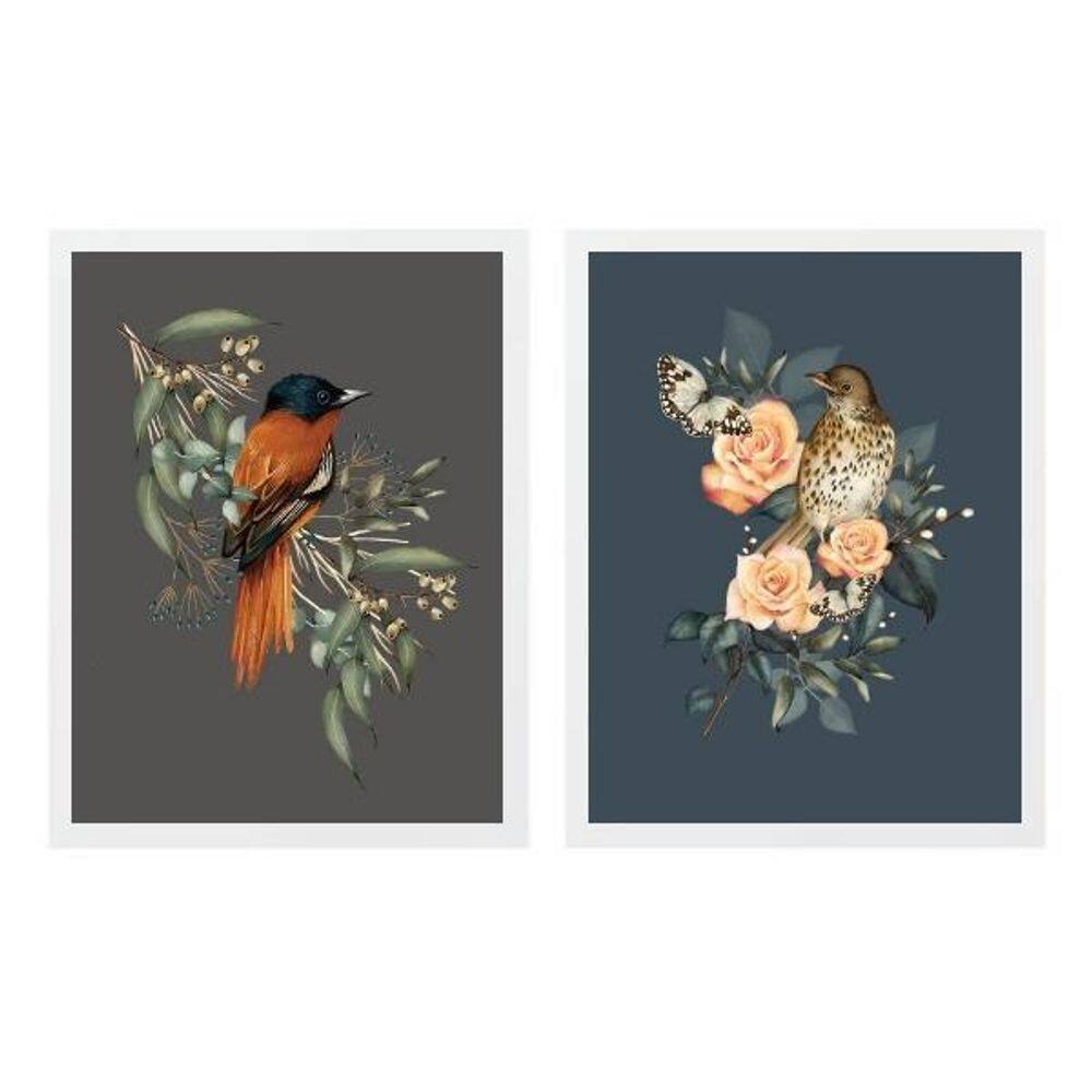 Kit 2 Quadros Passarinhos Clássicos 45X34Cm - Com Vidro