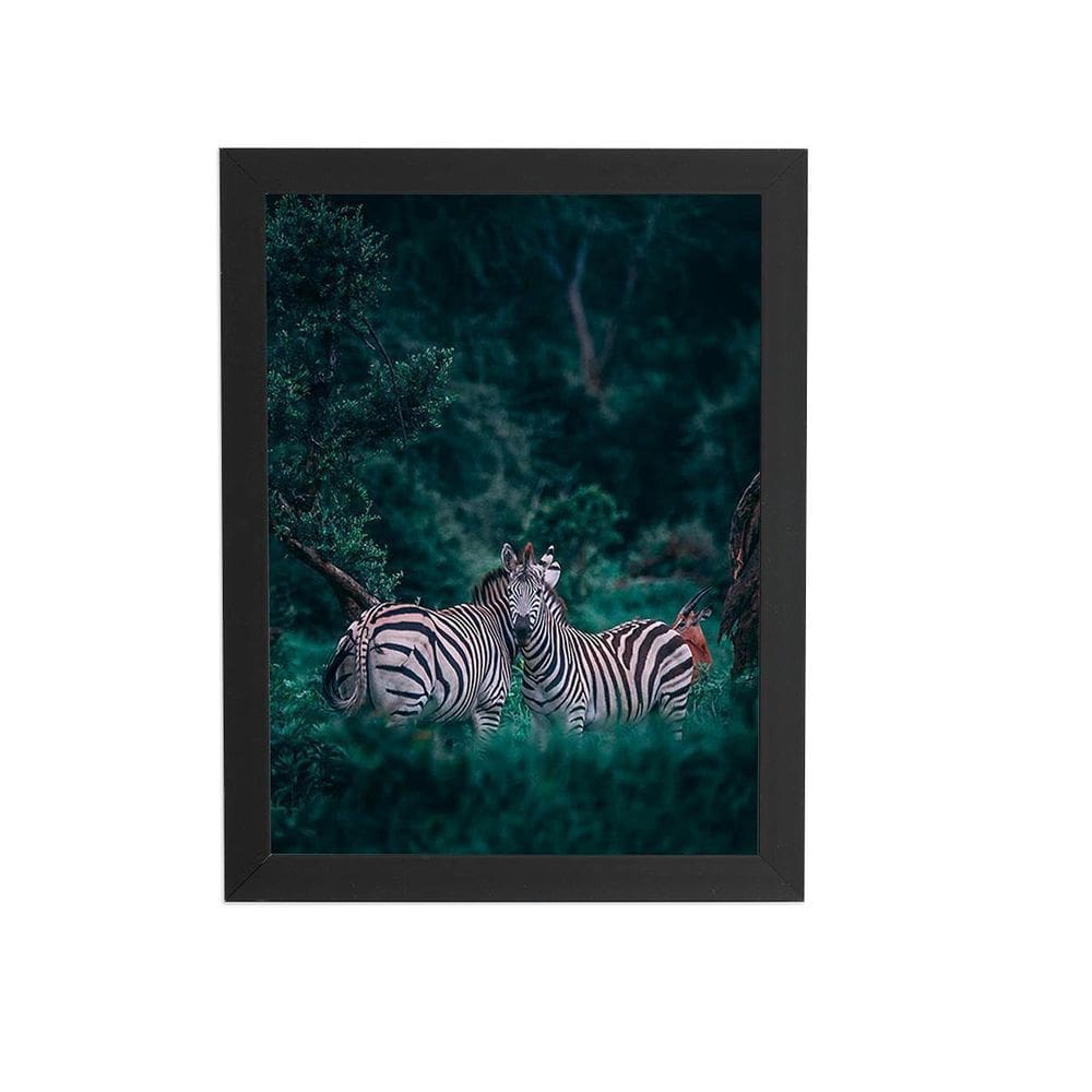 Zebras Floresta Natureza Foto Quadro Moldura Preta 60X40Cm