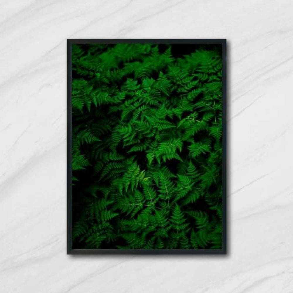 Quadro Fotografia Samambaias 45X34Cm Com Vidro Moldura Preta