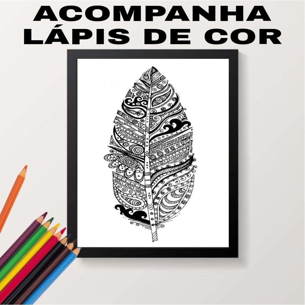 Quadro Decorativo Colorir Pena Tribal Moldura Preta 24X18Cm