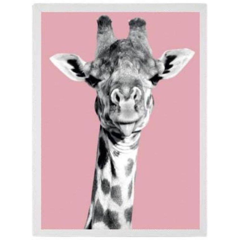 Quadro Foto Girafa Fundo Rosa 24X18 C/Vidro - Madeira Branca