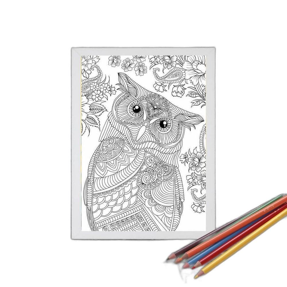 Quadro Decorativo Para Colorir Coruja 24X18Cm - Com Vidro