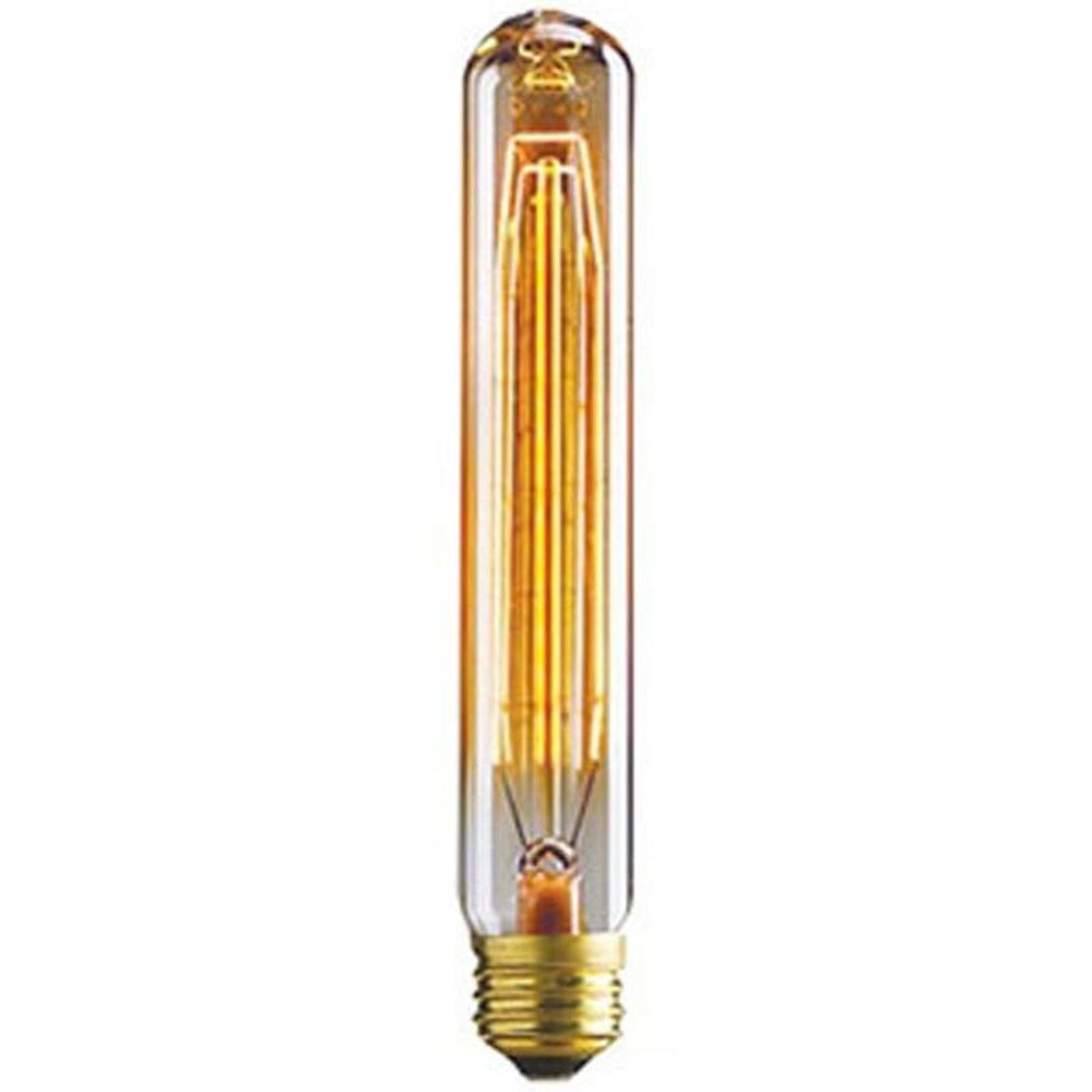 Lâmpada Filamento De Carbono 40W T30 220V