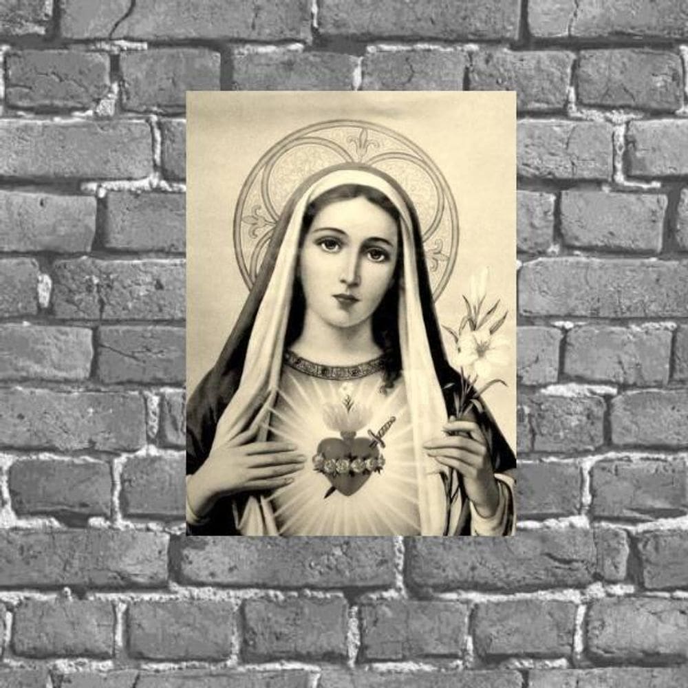 Placa Decorativa Sagrado Coração De Maria 18X27Cm