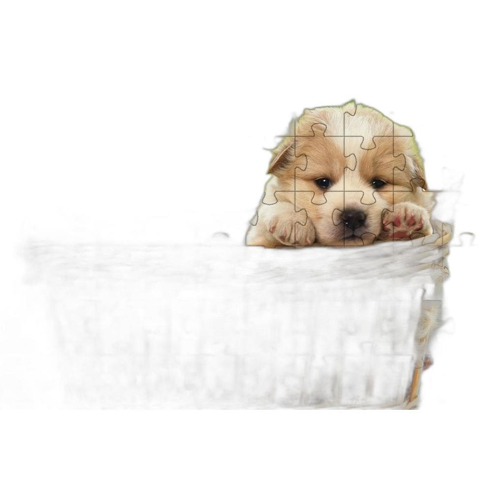 4 Quebra-Cabeças Dogs Animados Educação Inteligente 60 Peças