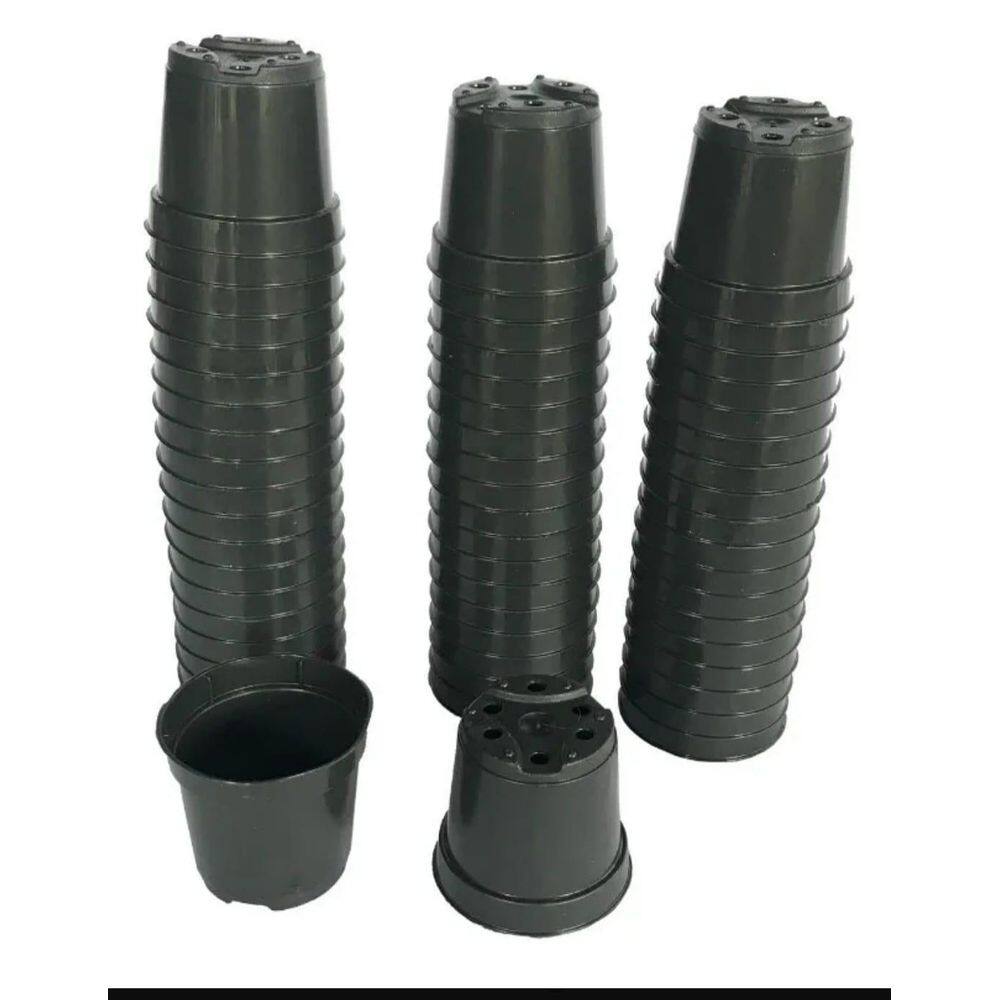 500 Vasos Pote 6 Plástico Muda 80Ml Suculentas Cactos