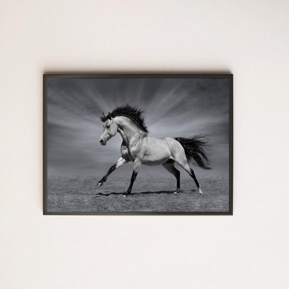 Quadro Decorativo Fotografia Cavalo Preto E Branco 24X18Cm