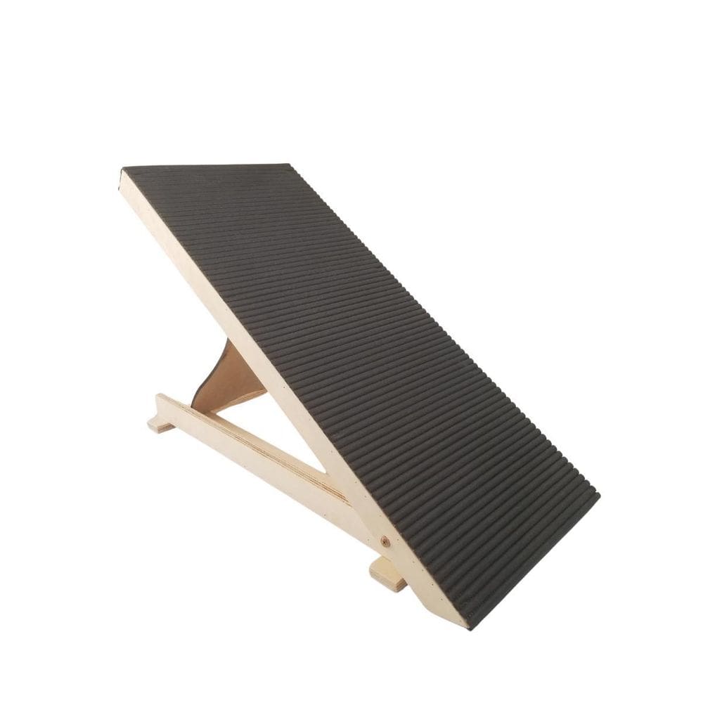 Rampa Para Cão Moradog Mini - Morapet