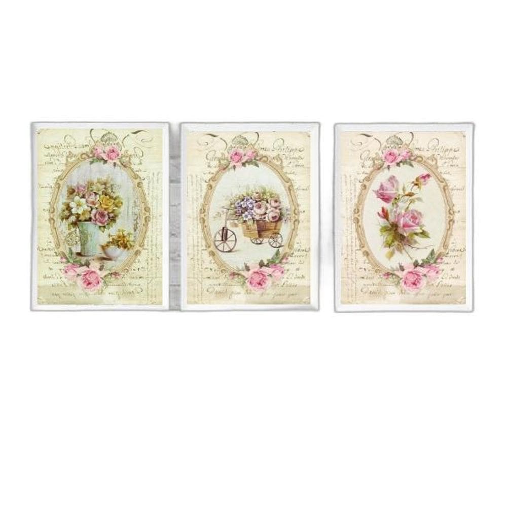 Kit 3 Quadros Decorativos Vintage Jardim 24X18Cm