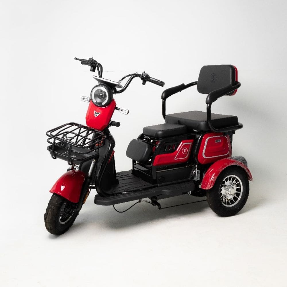 Triciclo Eletrico Mobi Varing 1000W