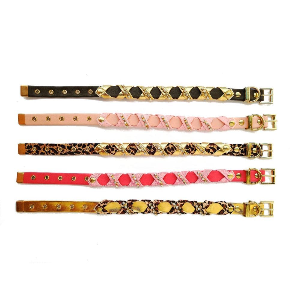 Coleira Darlin Para Cães Tamanho 0 Linha Luxo