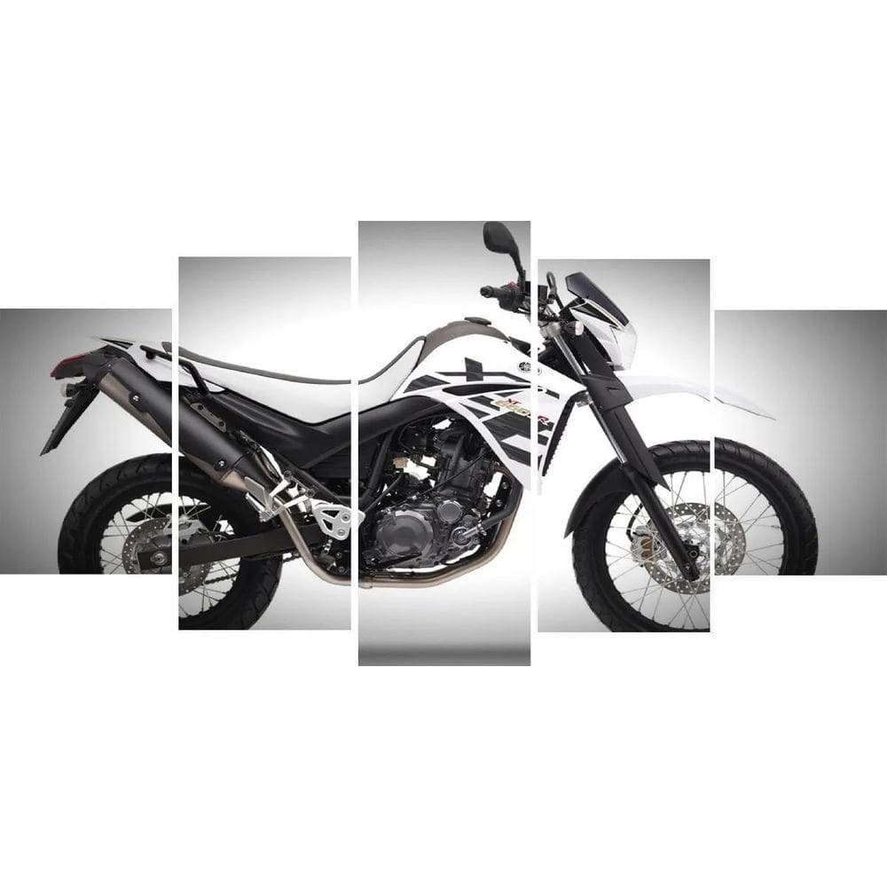 Quadro Moto Meiota Moderno 5 Peças Mosaico