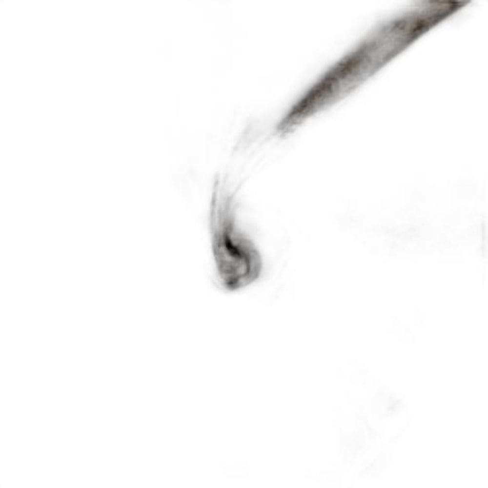 Tecido Percal Tabaco 5 Metro X 2.50 Largura