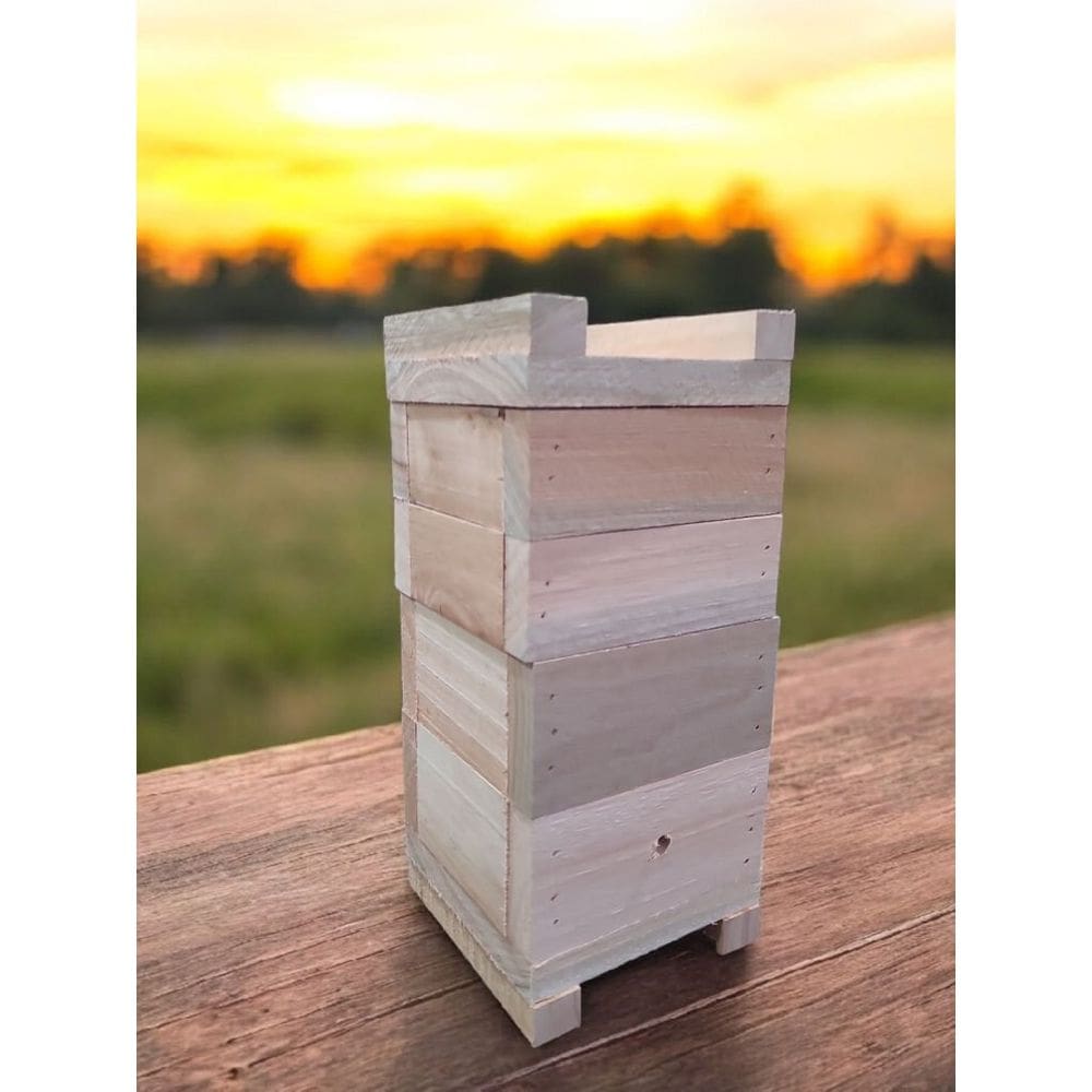 Caixa Para Abelhas Sem Ferrão Com 2 Melgueiras, madeira eucalipto interna10x10 espessura 2cm- INPA