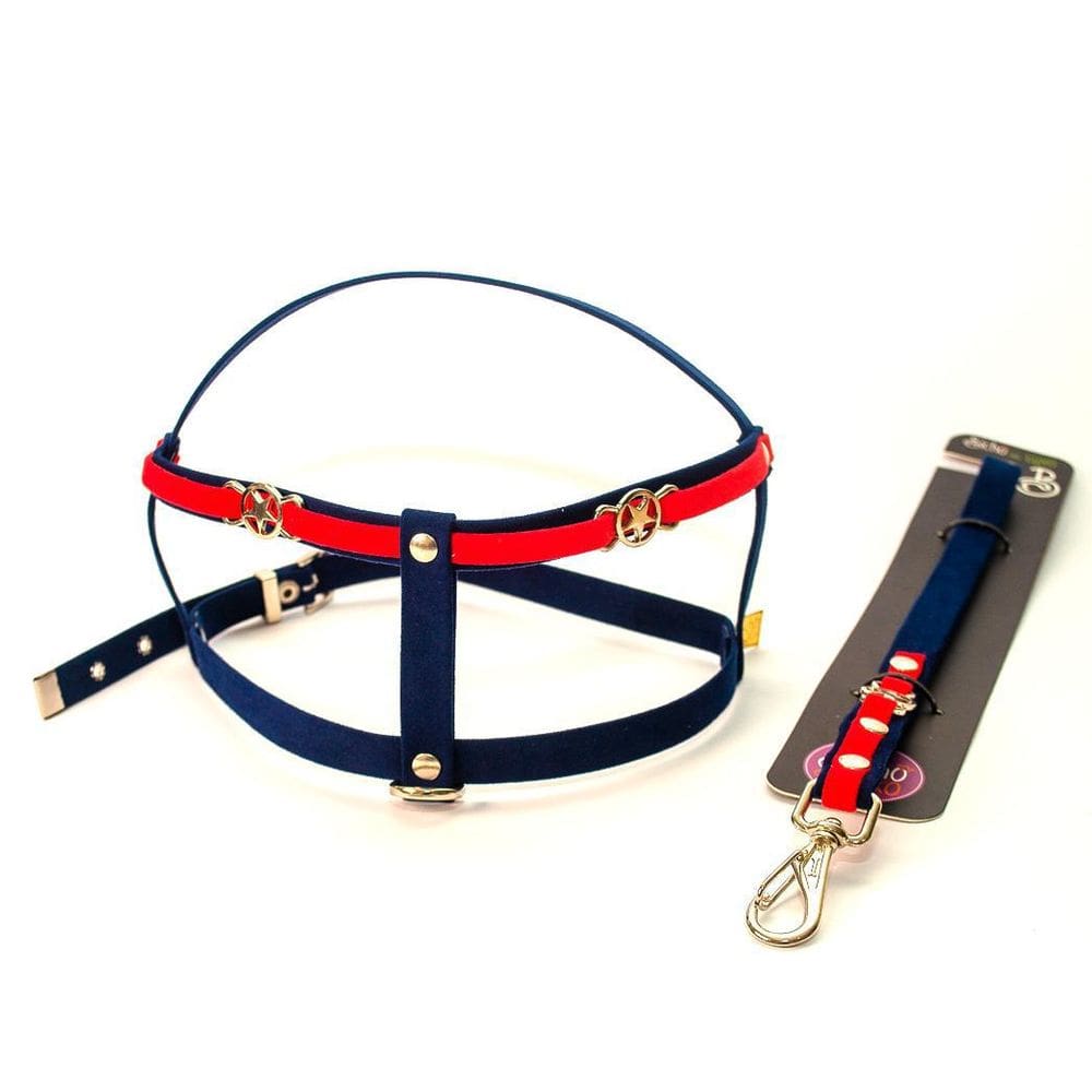 Peitoral Coleira E Guia America Tamanho 3 - Cães Linha Luxo