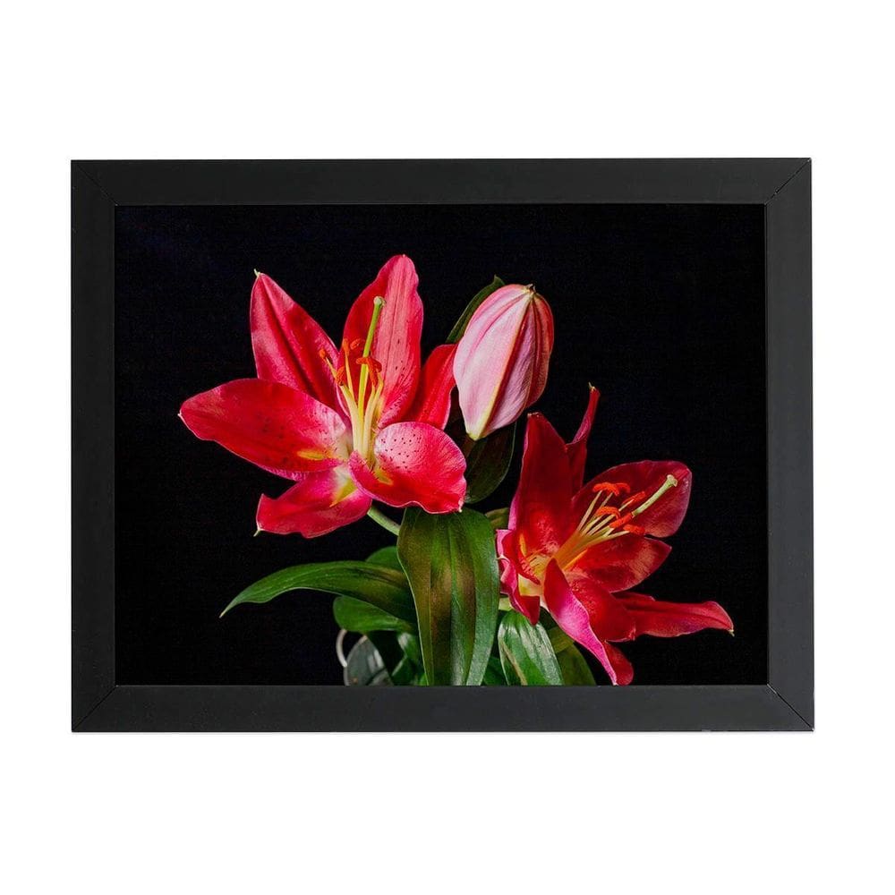Quadro Lírio Tarrango Flores Foto Moldura Preta 60X40Cm