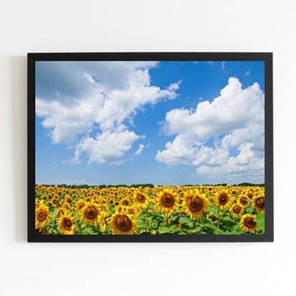 Quadro Campo De Girassóis 45X34Cm - Com Vidro Moldura Preta