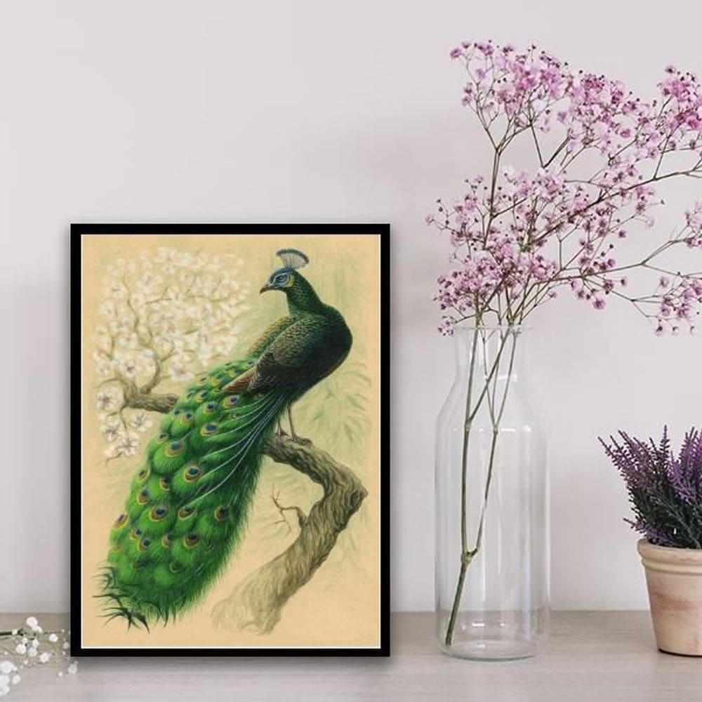 Quadro Decorativo Pássaro Pavão 33X24Cm - Com Vidro Preto