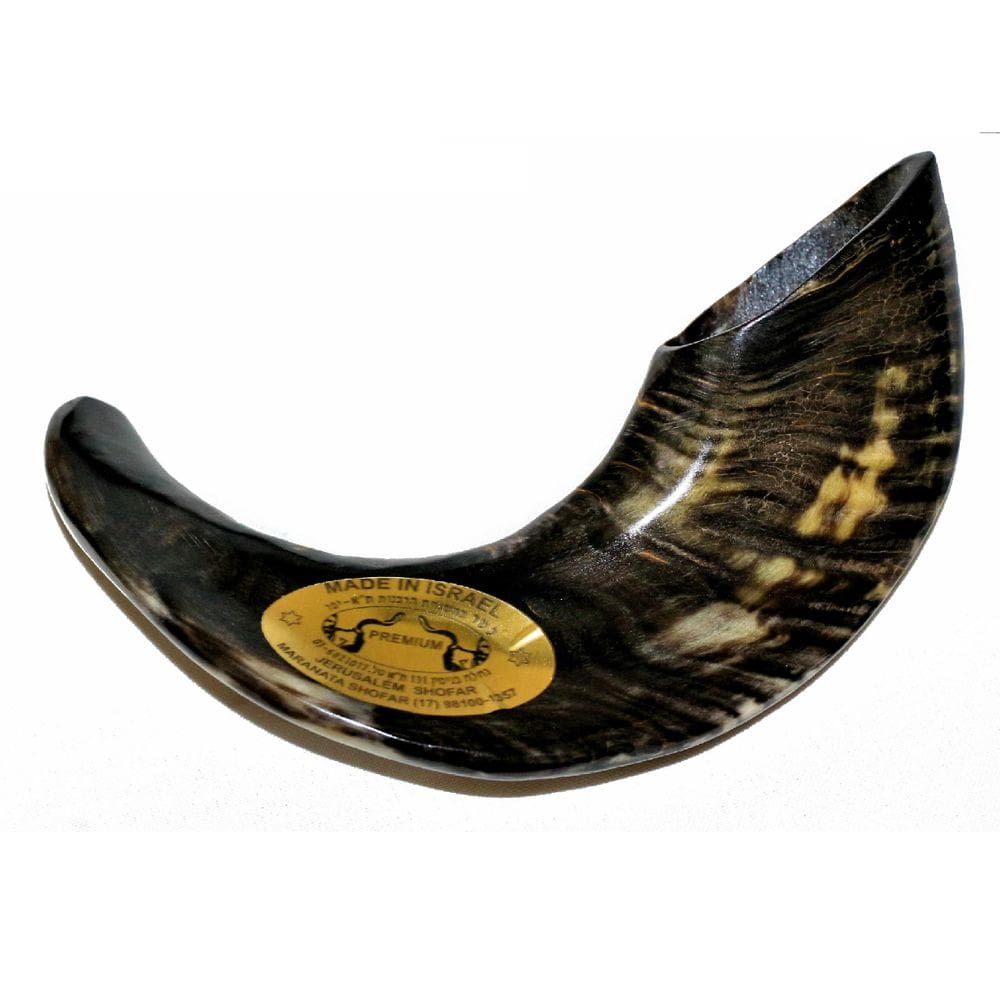 Shofar De Chifre De Carneiro De Tocar De Israel/Dark 30-34Cm
