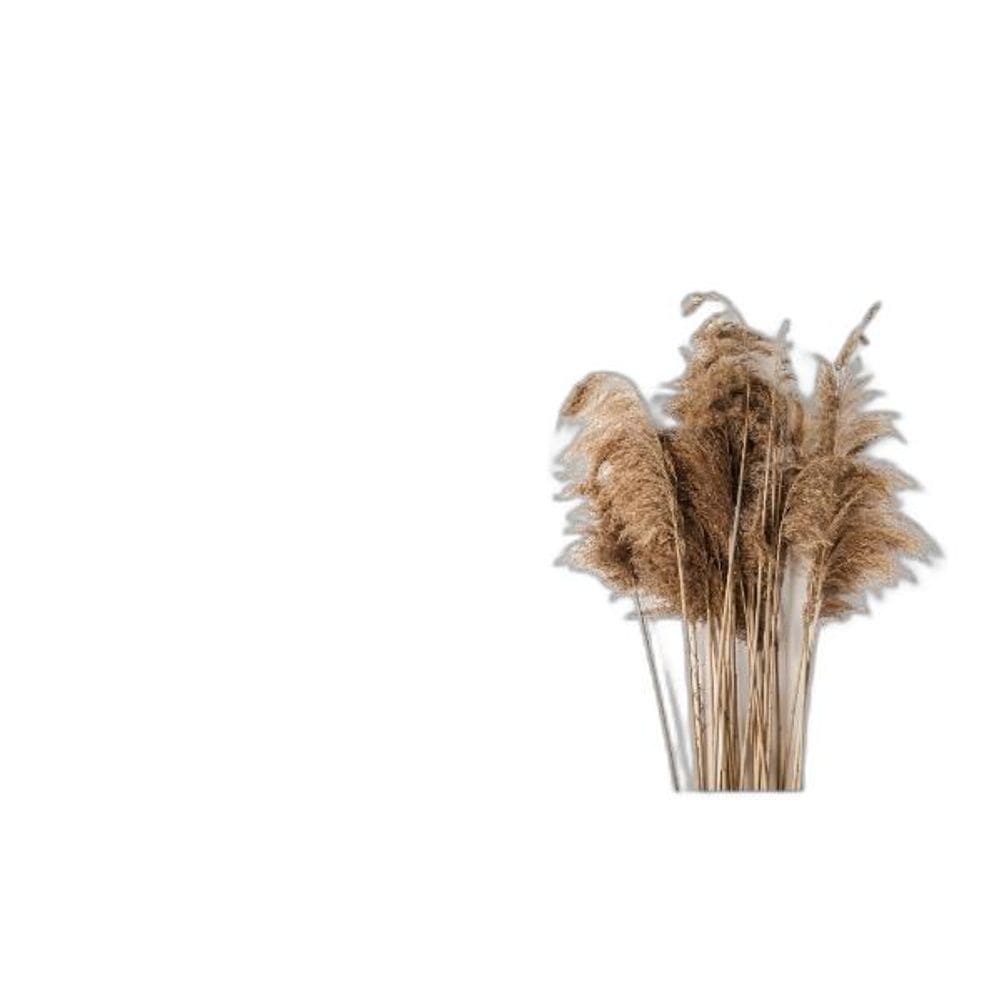 Kit 2 Quadros Capim Dos Pampas 24X18Cm - Com Vidro