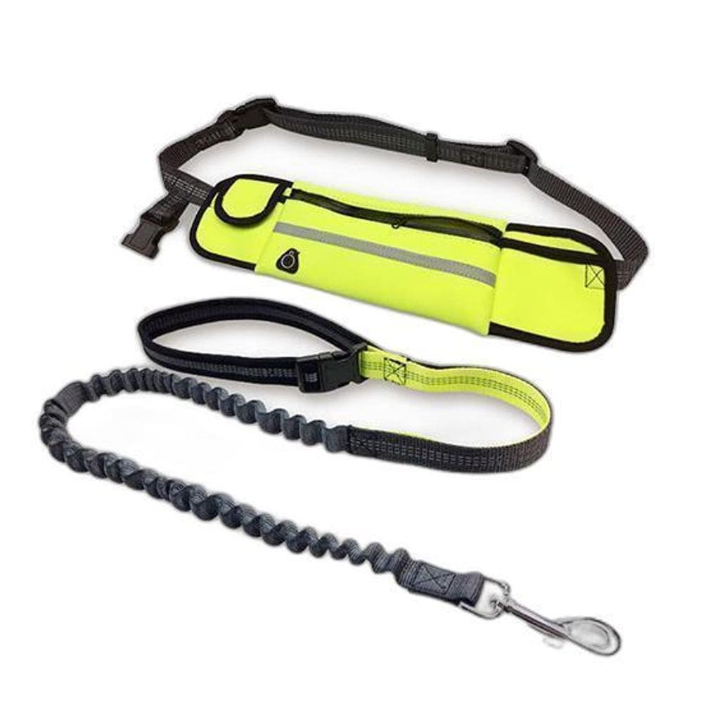 Guia De Cintura Regulável Com Pochete - Cor Laranja