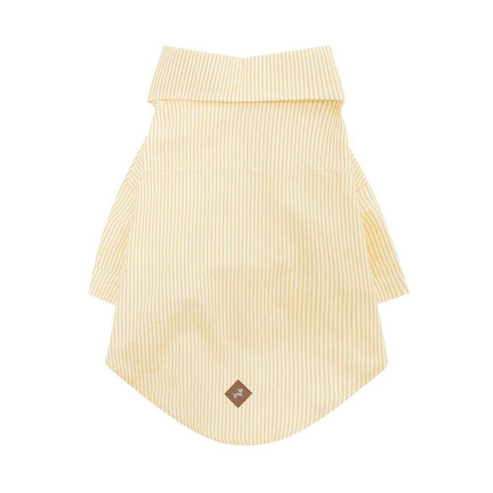 Camisa Turchi Pet - Amarelo - G