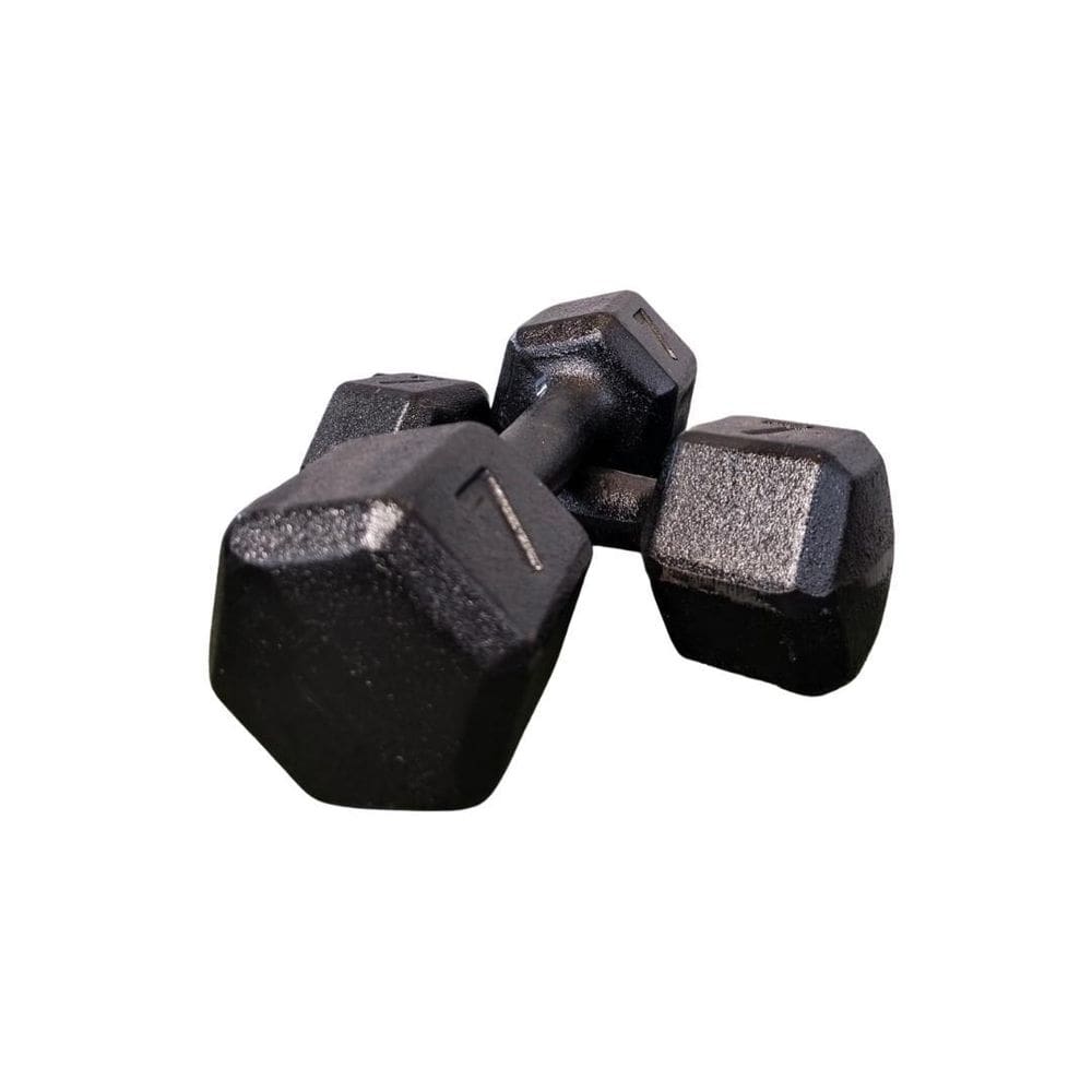 Par Halter Sextavado Ferro 7Kg