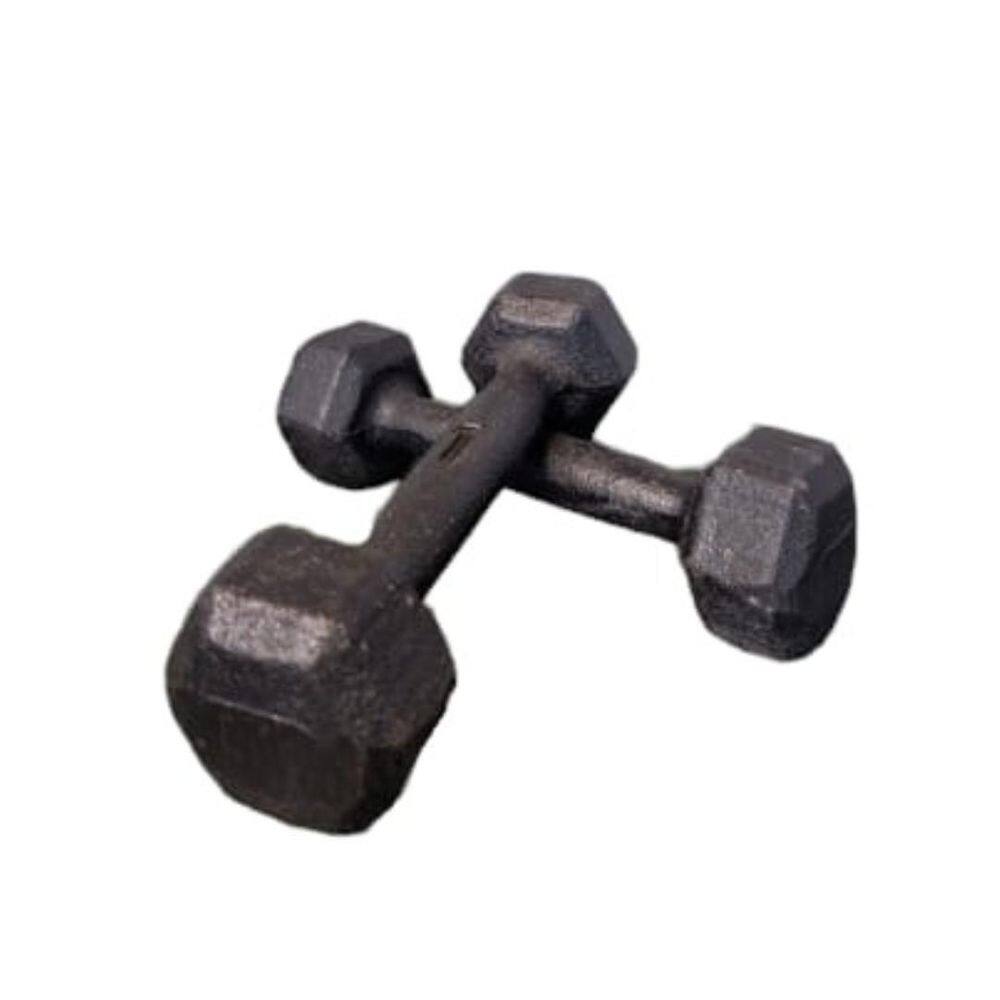 Par Halter Sextavado Ferro 1Kg