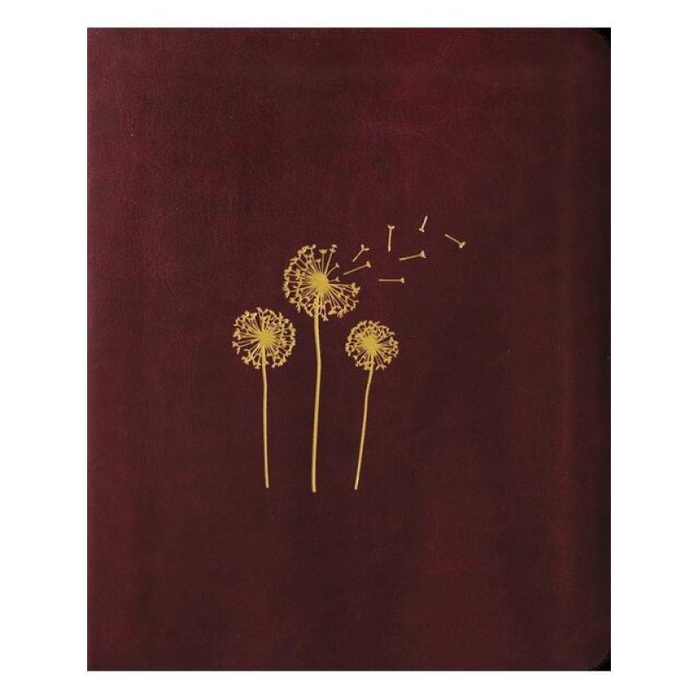 Bíblia Mulheres Naa - 1 Coluna - Sopro Divino.