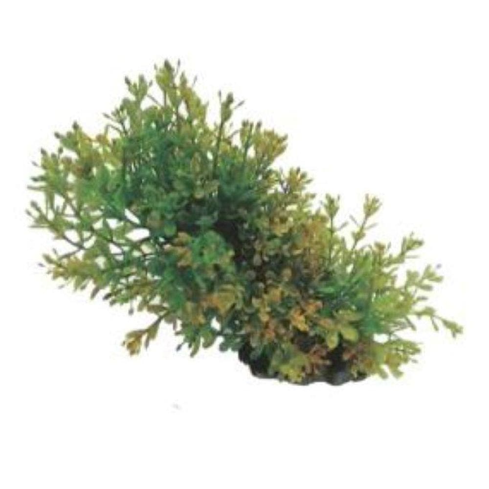 Planta Artificial Skrw Lx-M 936 17Cm
