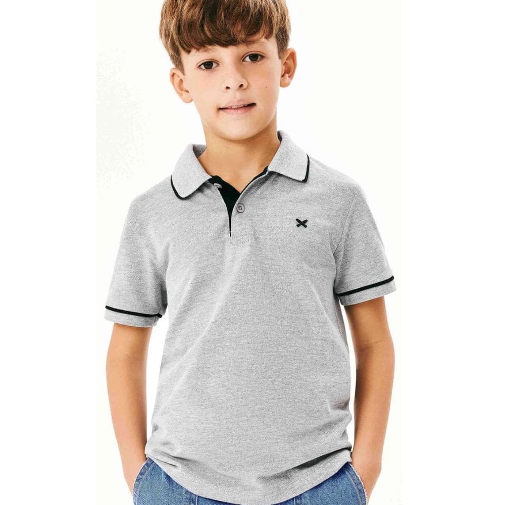 Blusa Básica Polo Menino Piquet Cinza com Bordado - Hering