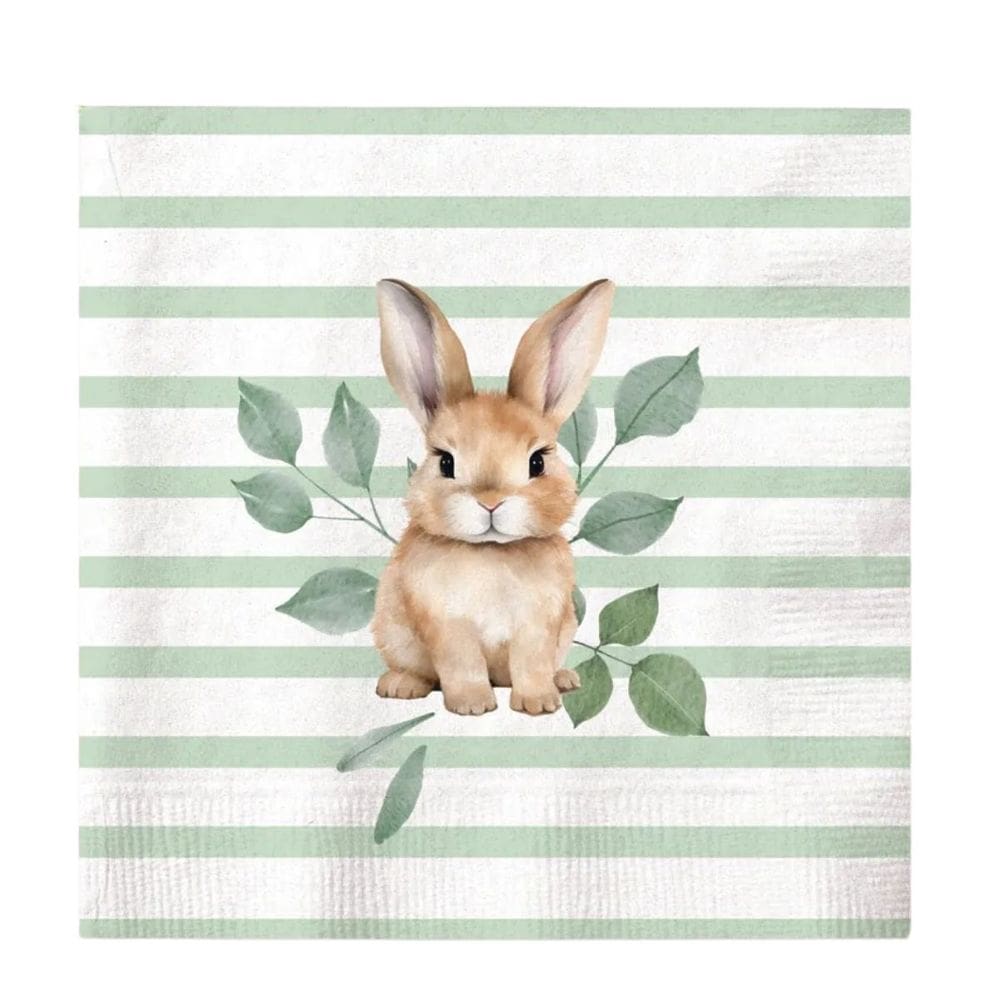 Guardanapo De Pascoa De Papel Coelho Listras 33cm C/20 F 1Un