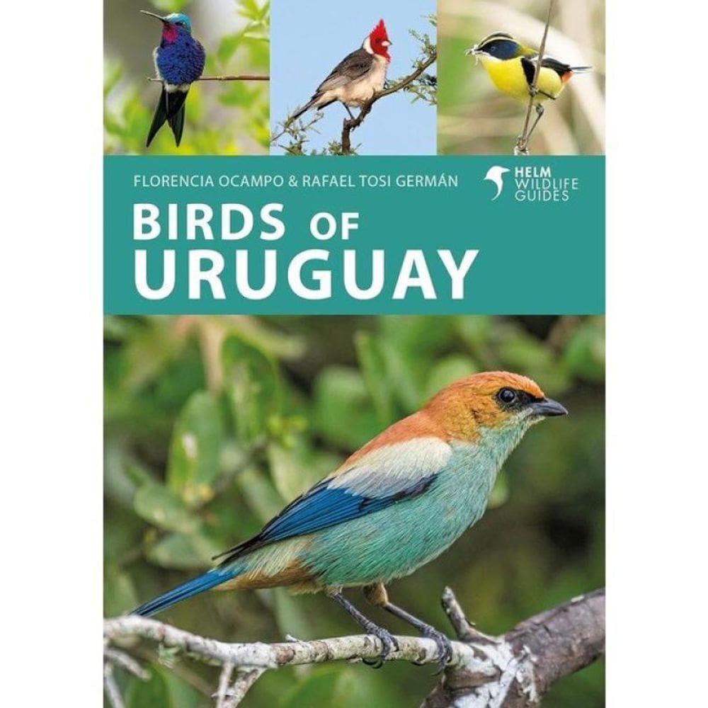 Birds Of Uruguay